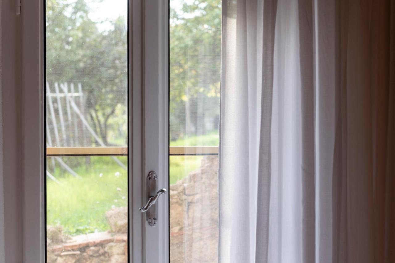 Terra D'Ombra Bed&Breakfast サン・ジミニャーノ エクステリア 写真